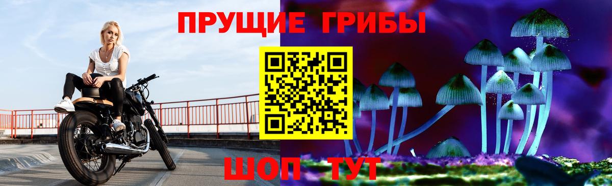 Псилоцибиновые грибы Psilocybine cubensis  Вход с VPN  Чистополь  Галлюциногенные грибы прущие грибы 